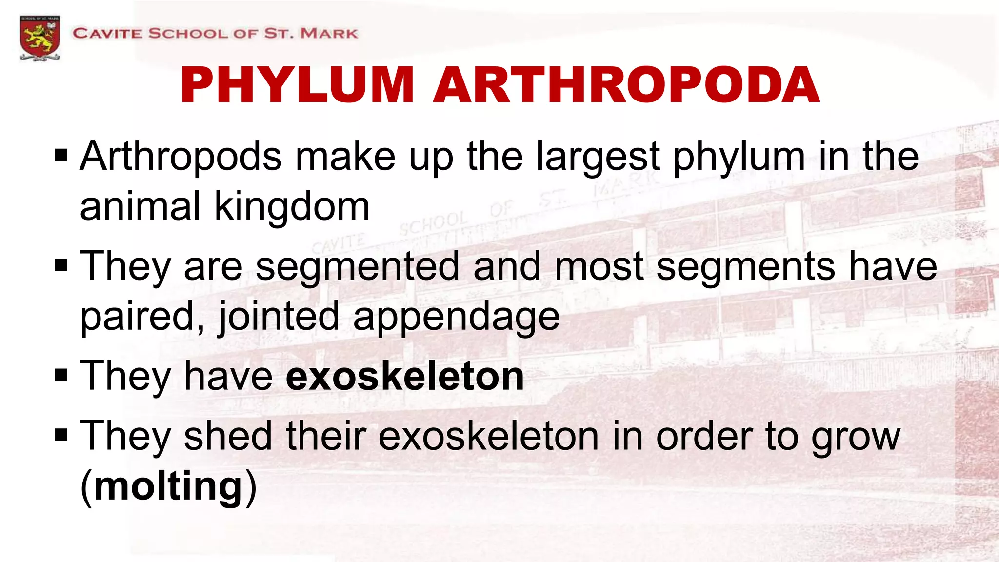 PHYLUM ARTHROPODA
 Arthropods make up the largest phylum in the
animal kingdom
 They are segmented and most segments have
paired, jointed appendage
 They have exoskeleton
 They shed their exoskeleton in order to grow
(molting)
 