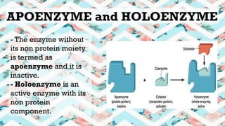 Grade 11 Senior High School on Lesson about Enzyme | PPTX