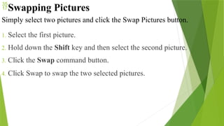 Swapping Pictures
Simply select two pictures and click the Swap Pictures button.
1. Select the first picture.
2. Hold down the Shift key and then select the second picture.
3. Click the Swap command button.
4. Click Swap to swap the two selected pictures.
 