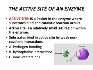 ENZYME BIOCHEMISTRY | PPTX