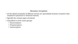 Sensory receptors
• At the distal terminals of afferent nerves are specialized sensory receptors that
respond to physical or chemical stimuli.
• Specific for certain types of stimuli
• Classified in three main groups
• Exteroceptors
• Proprioceptors
• Interoceptors
 