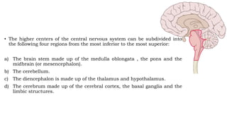 • The higher centers of the central nervous system can be subdivided into
the following four regions from the most inferior to the most superior:
a) The brain stem made up of the medulla oblongata , the pons and the
midbrain (or mesencephalon).
b) The cerebellum.
c) The diencephalon is made up of the thalamus and hypothalamus.
d) The cerebrum made up of the cerebral cortex, the basal ganglia and the
limbic structures.
 