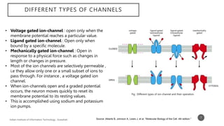 beta gallium oxide based optoelectronic synaptic devices.pptx