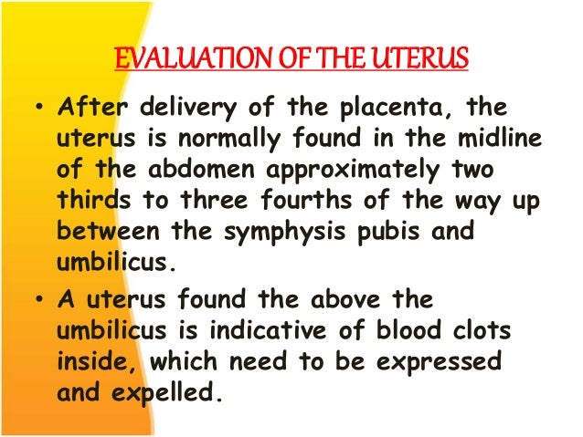 4th Stage Of Labor M Sc 1st Year 4th Stage Of Labor M Sc 1st Year