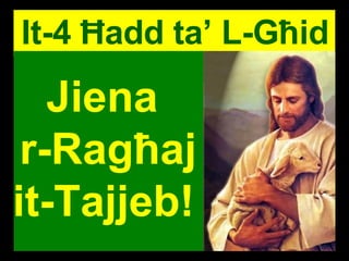 Jiena  r-Ragħaj it-Tajjeb!   It-4 Ħadd ta’ L-Għid 