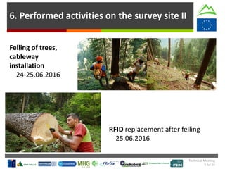 6. Performed activities on the survey site II
RFID replacement after felling
25.06.2016
Felling of trees,
cableway
installation
24-25.06.2016
Technical Meeting
5 Jul 16
 