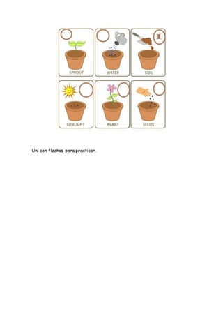 Uní con flechas para practicar.
 