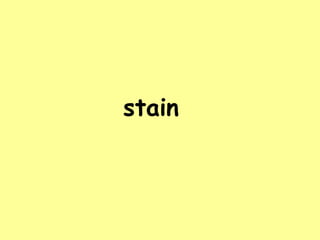 stain 