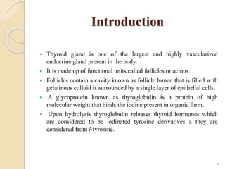 Introduction
 Thyroid gland is one of the largest and highly vascularized
endocrine gland present in the body.
 It is made up of functional units called follicles or acinus.
 Follicles contain a cavity known as follicle lumen that is filled with
gelatinous colloid is surrounded by a single layer of epithelial cells.
 A glycoprotein known as thyroglobulin is a protein of high
molecular weight that binds the iodine present in organic form.
 Upon hydrolysis thyroglobulin releases thyroid hormones which
are considered to be iodinated tyrosine derivatives a they are
considered from l-tyrosine.
3
 
