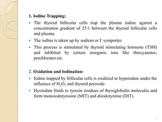1. Iodine Trapping:
 The thyroid follicular cells trap the plasma iodine against a
concentration gradient of 25:1 between the thyroid follicular cells
and plasma.
 The iodine is taken up by sodium or I- symporter.
 This process is stimulated by thyroid stimulating hormone (TSH)
and inhibited by certain inorganic ions like thiocyanates,
perchlorates etc.
2. Oxidation and Iodination:
 Iodine trapped by follicular cells is oxidized to hypoiodate under the
influence of H2O2 and thyroid peroxide.
 Hyoiodate binds to tyrosin residues of thyroglobulin molecules and
form monoiodotyrosine (MIT) and diiodotyroine (DIT).
7
 