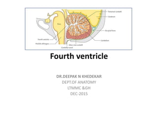 Fourth ventricle
DR.DEEPAK N KHEDEKAR
DEPT.OF ANATOMY
LTMMC &GH
DEC-2015
 