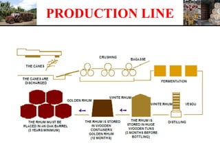 PRODUCTION LINE
 