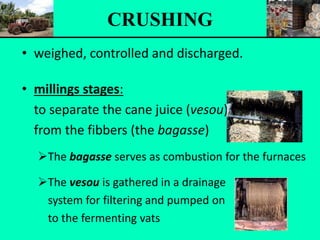 • weighed, controlled and discharged.
• millings stages:
to separate the cane juice (vesou)
from the fibbers (the bagasse)
The bagasse serves as combustion for the furnaces
The vesou is gathered in a drainage
system for filtering and pumped on
to the fermenting vats
CRUSHING
 