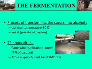 • Process of transforming the sugars into alcohol :
– optimal temperature 30 C°
– yeast (private of oxygen)
• 72 hours after…
– Cane wine is obtained: moût
(7% of alcohol)
– Moût is quickly sent for distillation
THE FERMENTATION
 