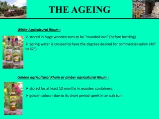THE AGEING
White Agricultural Rhum :
 stored in huge wooden tuns to be "rounded out“ (before bottling)
 Spring water is crossed to have the degrees desired for commercialisation (40°
to 62°)
Golden agricultural Rhum or amber agricultural Rhum :
 stored for at least 12 months in wooden containers.
 golden colour: due to its short period spent in an oak tun
 