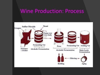 Wine Production: Process
 