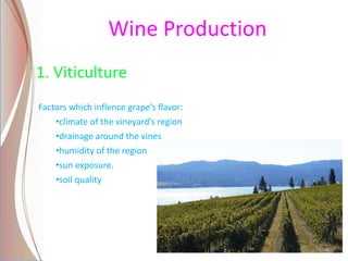 Wine Production
Factors which inflence grape’s flavor:
•climate of the vineyard’s region
•drainage around the vines
•humidity of the region
•sun exposure.
•soil quality
1. Viticulture
 