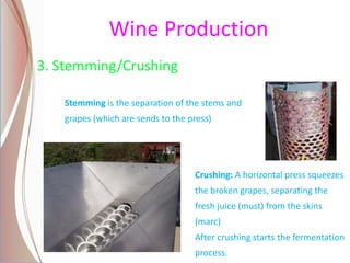 Wine Production
3. Stemming/Crushing
Stemming is the separation of the stems and
grapes (which are sends to the press)
Crushing: A horizontal press squeezes
the broken grapes, separating the
fresh juice (must) from the skins
(marc)
After crushing starts the fermentation
process.
 