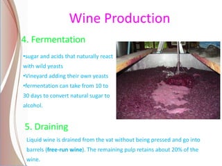 Wine Production
4. Fermentation
•sugar and acids that naturally react
with wild yeasts
•Vineyard adding their own yeasts
•fermentation can take from 10 to
30 days to convert natural sugar to
alcohol.
5. Draining
Liquid wine is drained from the vat without being pressed and go into
barrels (free-run wine). The remaining pulp retains about 20% of the
wine.
 