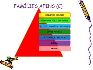 FAMÍLIES AFINS (C)
 
