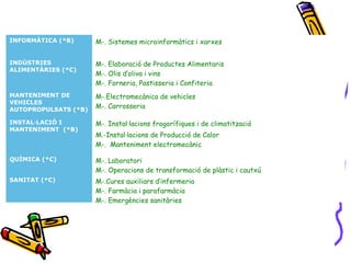 INFORMÀTICA (*B) M-. Sistemes microinformàtics i xarxes
INDÚSTRIES
ALIMENTÀRIES (*C)
M-. Elaboració de Productes Alimentaris
M-. Olis d’oliva i vins
M-. Forneria, Pastisseria i Confiteria
MANTENIMENT DE
VEHICLES
AUTOPROPULSATS (*B)
M-.Electromecànica de vehicles
M-. Carrosseria
INSTAL·LACIÓ I
MANTENIMENT (*B)
M-. Instal·lacions frogorífiques i de climatització
M.-Instal·lacions de Producció de Calor
M-. Manteniment electromecànic
QUÍMICA (*C) M-. Laboratori
M-. Operacions de transformació de plàstic i cautxú
SANITAT (*C) M-.Cures auxiliars d’infermeria
M-. Farmàcia i parafarmàcia
M-. Emergències sanitàries
 