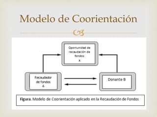 
Modelo de Coorientación
 