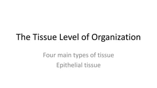 The Tissue Level of Organization
Four main types of tissue
Epithelial tissue
 