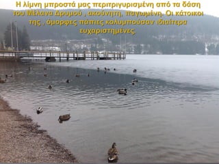 4 titisee και schwarzwald paul b1