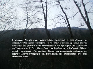 4 titisee και schwarzwald paul b1