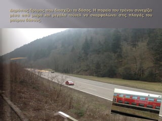 4 titisee και schwarzwald paul b1