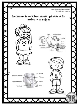 Tema 1. Los caracteres sexuales
de hombres y mujeres
Conozcamos los caracteres sexuales primarios de los
hombres y las mujeres
 