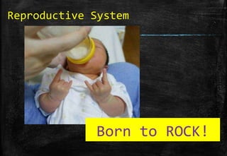 Reproductive System 
Born to ROCK! 
 