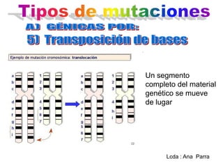 Un segmento
completo del material
genético se mueve
de lugar

Lcda : Ana Parra

 