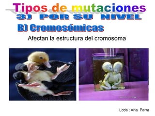 Afectan la estructura del cromosoma

Lcda : Ana Parra

 