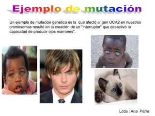 Un ejemplo de mutación genética es la que afectó al gen OCA2 en nuestros
cromosomas resultó en la creación de un "interruptor" que desactivó la
capacidad de producir ojos marrones".

Lcda : Ana Parra

 