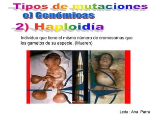 Individuo que tiene el mismo número de cromosomas que
los gametos de su especie. (Mueren)

Lcda : Ana Parra

 