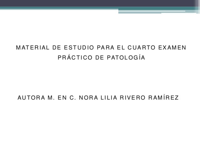 Patologia Del Metabolismo De Carbohidratos Proteinas Y Purinas