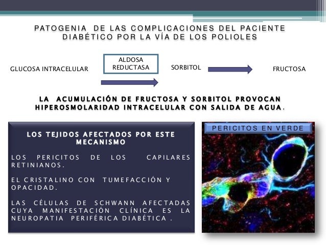 Patologia Del Metabolismo De Carbohidratos Proteinas Y Purinas