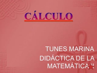 TUNES MARINA
DIDÁCTICA DE LA
  MATEMÁTICA II
 