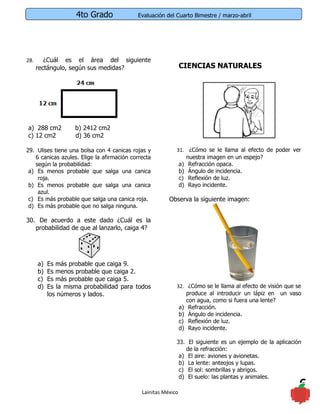 4to Grado               Evaluación del Cuarto Bimestre / marzo-abril




28.      ¿Cuál es el área del siguiente
      rectángulo, según sus medidas?                            CIENCIAS NATURALES




a) 288 cm2          b) 2412 cm2
c) 12 cm2           d) 36 cm2

29. Ulises tiene una bolsa con 4 canicas rojas y            31. ¿Cómo se le llama al efecto de poder ver
    6 canicas azules. Elige la afirmación correcta              nuestra imagen en un espejo?
    según la probabilidad:                                   a) Refracción opaca.
 a) Es menos probable que salga una canica                   b) Ángulo de incidencia.
     roja.                                                   c) Reflexión de luz.
 b) Es menos probable que salga una canica                   d) Rayo incidente.
     azul.
 c) Es más probable que salga una canica roja.           Observa la siguiente imagen:
 d) Es más probable que no salga ninguna.

30. De acuerdo a este dado ¿Cuál es la
   probabilidad de que al lanzarlo, caiga 4?




      a)   Es más probable que caiga 9.
      b)   Es menos probable que caiga 2.
      c)   Es más probable que caiga 5.
      d)   Es la misma probabilidad para todos              32. ¿Cómo se le llama al efecto de visión que se
           los números y lados.                                 produce al introducir un lápiz en un vaso
                                                                con agua, como si fuera una lente?
                                                             a) Refracción.
                                                             b) Ángulo de incidencia.
                                                             c) Reflexión de luz.
                                                             d) Rayo incidente.

                                                            33. El siguiente es un ejemplo de la aplicación
                                                                de la refracción:
                                                             a) El aire: aviones y avionetas.
                                                             b) La lente: anteojos y lupas.
                                                             c) El sol: sombrillas y abrigos.
                                                             d) El suelo: las plantas y animales.

                                              Lainitas México
                                                                                                           6
 