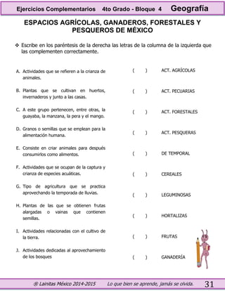 ® Lainitas México 2014-2015 Lo que bien se aprende, jamás se olvida. 31
ESPACIOS AGRÍCOLAS, GANADEROS, FORESTALES Y
PESQUEROS DE MÉXICO
 Escribe en los paréntesis de la derecha las letras de la columna de la izquierda que
las complementen correctamente.
A. Actividades que se refieren a la crianza de
animales.
B. Plantas que se cultivan en huertos,
invernaderos y junto a las casas.
C. A este grupo pertenecen, entre otras, la
guayaba, la manzana, la pera y el mango.
D. Granos o semillas que se emplean para la
alimentación humana.
E. Consiste en criar animales para después
consumirlos como alimentos.
F. Actividades que se ocupan de la captura y
crianza de especies acuáticas.
G. Tipo de agricultura que se practica
aprovechando la temporada de lluvias.
H. Plantas de las que se obtienen frutas
alargadas o vainas que contienen
semillas.
I. Actividades relacionadas con el cultivo de
la tierra.
J. Actividades dedicadas al aprovechamiento
de los bosques
( )
( )
( )
( )
( )
( )
( )
( )
( )
( )
ACT. AGRÍCOLAS
ACT. PECUARIAS
ACT. FORESTALES
ACT. PESQUERAS
DE TEMPORAL
CEREALES
LEGUMINOSAS
HORTALIZAS
FRUTAS
GANADERÍA
Ejercicios Complementarios 4to Grado - Bloque 4 Geografía
 