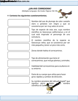 Lainitas Primaria
Cuadernillo Lector
4to Grado
142
Lainitas Primaria
www.primaria.lainitas.com.mx
¿UN AVE CORREDORA?
(Múltiples Lenguajes. 4to Grado. Páginas 182-185)
 Contesta los siguientes cuestionamientos.
Nombre del ave de plumaje de color castaño
claro o grisáceo con negro y que se
caracteriza por ser muy veloz al correr.
Tipo de especie de esta ave, cuyo nombre
científico es Geococcyx californianus y en el
cual está inspirado el personaje de una
caricatura.
El nombre científico de la especie es
Geococcyx velox, que se caracteriza por ser
más pequeña y tener un pico más corto.
Zonas donde habita el correcaminos.
Tipo de alimentación que tiene el
correcaminos, que incluye plantas y animales.
Habilidad del correcaminos para ocultarse en
su entorno.
Parte de su cuerpo que utiliza para hacer
giros rápidos y cambiar de dirección.
Su nombre proviene del náhuatl “coyotl” que
significa perro aullador y su nombre
científico es Canis latrans.
 