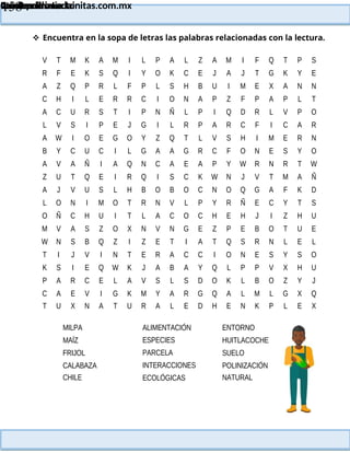 MILPA
MAÍZ
FRIJOL
CALABAZA
CHILE
ALIMENTACIÓN
ESPECIES
PARCELA
INTERACCIONES
ECOLÓGICAS
ENTORNO
HUITLACOCHE
SUELO
POLINIZACIÓN
NATURAL
Lainitas Primaria
Cuadernillo Lector
4to Grado
158
Lainitas Primaria
www.primaria.lainitas.com.mx
 Encuentra en la sopa de letras las palabras relacionadas con la lectura.
V T M K A M I L P A L Z A M I F Q T P S
R F E K S Q I Y O K C E J A J T G K Y E
A Z Q P R L F P L S H B U I M E X A N N
C H I L E R R C I O N A P Z F P A P L T
A C U R S T I P N Ñ L P I Q D R L V P O
L V S I P E J G I L R P A R C F I C A R
A W I O E G O Y Z Q T L V S H I M E R N
B Y C U C I L G A A G R C F O N E S Y O
A V A Ñ I A Q N C A E A P Y W R N R T W
Z U T Q E I R Q I S C K W N J V T M A Ñ
A J V U S L H B O B O C N O Q G A F K D
L O N I M O T R N V L P Y R Ñ E C Y T S
O Ñ C H U I T L A C O C H E H J I Z H U
M V A S Z O X N V N G E Z P E B O T U E
W N S B Q Z I Z E T I A T Q S R N L E L
T I J V I N T E R A C C I O N E S Y S O
K S I E Q W K J A B A Y Q L P P V X H U
P A R C E L A V S L S D O K L B O Z Y J
C A E V I G K M Y A R G Q A L M L G X Q
T U X N A T U R A L E D H E N K P L E X
 