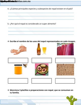 Lainitas Primaria
Cuadernillo Lector
4to Grado
41
Lainitas Primaria
www.primaria.lainitas.com.mx
4.- ¿Cuántas principales especies y subespecies de nopal existen en el país?
5.- ¿Por qué el nopal es considerado un super alimento?
 Escribe el nombre de los usos del nopal representados en cada imagen.
 Menciona 3 platillos o preparaciones con nopal, que se consuman en
tu familia.
 