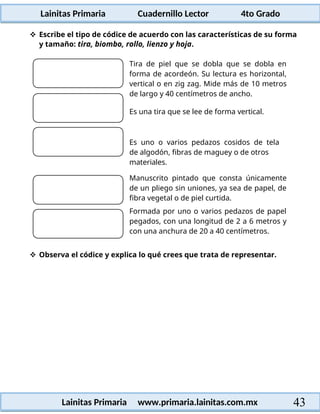 Lainitas Primaria Cuadernillo Lector 4to Grado
43
Lainitas Primaria www.primaria.lainitas.com.mx
 Escribe el tipo de códice de acuerdo con las características de su forma
y tamaño: tira, biombo, rollo, lienzo y hoja.
Tira de piel que se dobla que se dobla en
forma de acordeón. Su lectura es horizontal,
vertical o en zig zag. Mide más de 10 metros
de largo y 40 centímetros de ancho.
Es una tira que se lee de forma vertical.
Es uno o varios pedazos cosidos de tela
de algodón, fibras de maguey o de otros
materiales.
Manuscrito pintado que consta únicamente
de un pliego sin uniones, ya sea de papel, de
fibra vegetal o de piel curtida.
Formada por uno o varios pedazos de papel
pegados, con una longitud de 2 a 6 metros y
con una anchura de 20 a 40 centímetros.
 Observa el códice y explica lo qué crees que trata de representar.
 