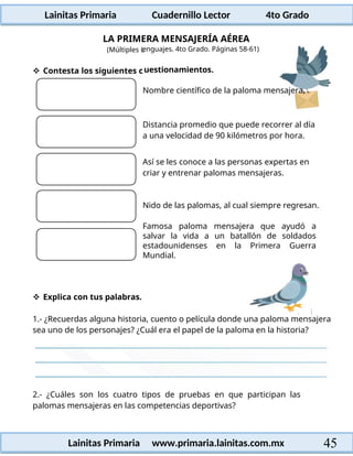 Lainitas Primaria Cuadernillo Lector 4to Grado
45
Lainitas Primaria www.primaria.lainitas.com.mx
LA PRIMERA MENSAJERÍA AÉREA
(Múltiples L
 Contesta los siguientes c
 Explica con tus palabras.
1.- ¿Recuerdas alguna historia, cuento o película donde una paloma mensajera
sea uno de los personajes? ¿Cuál era el papel de la paloma en la historia?
2.- ¿Cuáles son los cuatro tipos de pruebas en que participan las
palomas mensajeras en las competencias deportivas?
enguajes. 4to Grado. Páginas 58-61)
uestionamientos.
Nombre científico de la paloma mensajera.
Distancia promedio que puede recorrer al día
a una velocidad de 90 kilómetros por hora.
Así se les conoce a las personas expertas en
criar y entrenar palomas mensajeras.
Nido de las palomas, al cual siempre regresan.
Famosa paloma mensajera que ayudó a
salvar la vida a un batallón de soldados
estadounidenses en la Primera Guerra
Mundial.
 