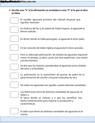 Lainitas Primaria
Cuadernillo Lector
4to Grado
78
Lainitas Primaria
www.primaria.lainitas.com.mx
 Escribe una “V” si la afirmación es verdadera o una “F” si lo que se dice
es falso.
El vocablo aguacate proviene del náhuatl ahuacatl que
significa “testículo”.
En América del Sur y en países de habla hispana, al aguacate le
llaman avócate.
En Brasil, donde se habla portugués, al aguacate le dicen palta.
En las naciones de habla inglesa al aguacate le dicen avocado.
Para su adecuada polinización, los árboles de aguacate requieren
crecer en parejas, es decir, junto con otro espécimen, uno macho
y el otro hembra.
Se dice que los mexicas consideraban al aguacate como símbolo
del amor y la fertilidad.
La polinización es la transmisión de granos de polen de la
parte femenina de una flor a la parte masculina de otra.
No todos los aguacates son iguales, existen distintas variedades.
Las diferencias entre las distintas variedades de aguacate se
deben a
la tierra donde se cultivan y a que los científicos han
hecho combinaciones para mejorar su producción y
características.
El sabor que tienen las distintas variedades de aguacate es el
mismo.
 