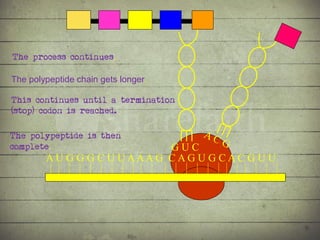 Conga Line Animation Synthesis of Proteins or the Formation of the Conga Line | PDF