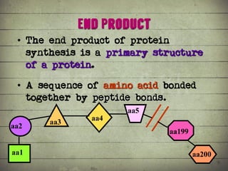 Synthesis of Proteins or the Formation of the Conga Line | PDF