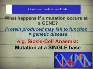 Synthesis of Proteins or the Formation of the Conga Line | PDF